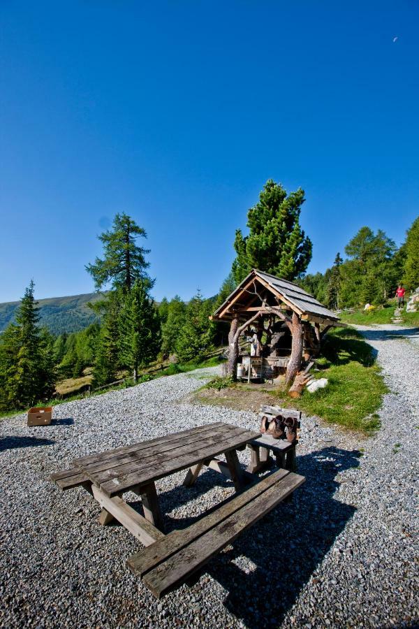 Villa Almhütte Kristabauer Predlitz Exterior foto