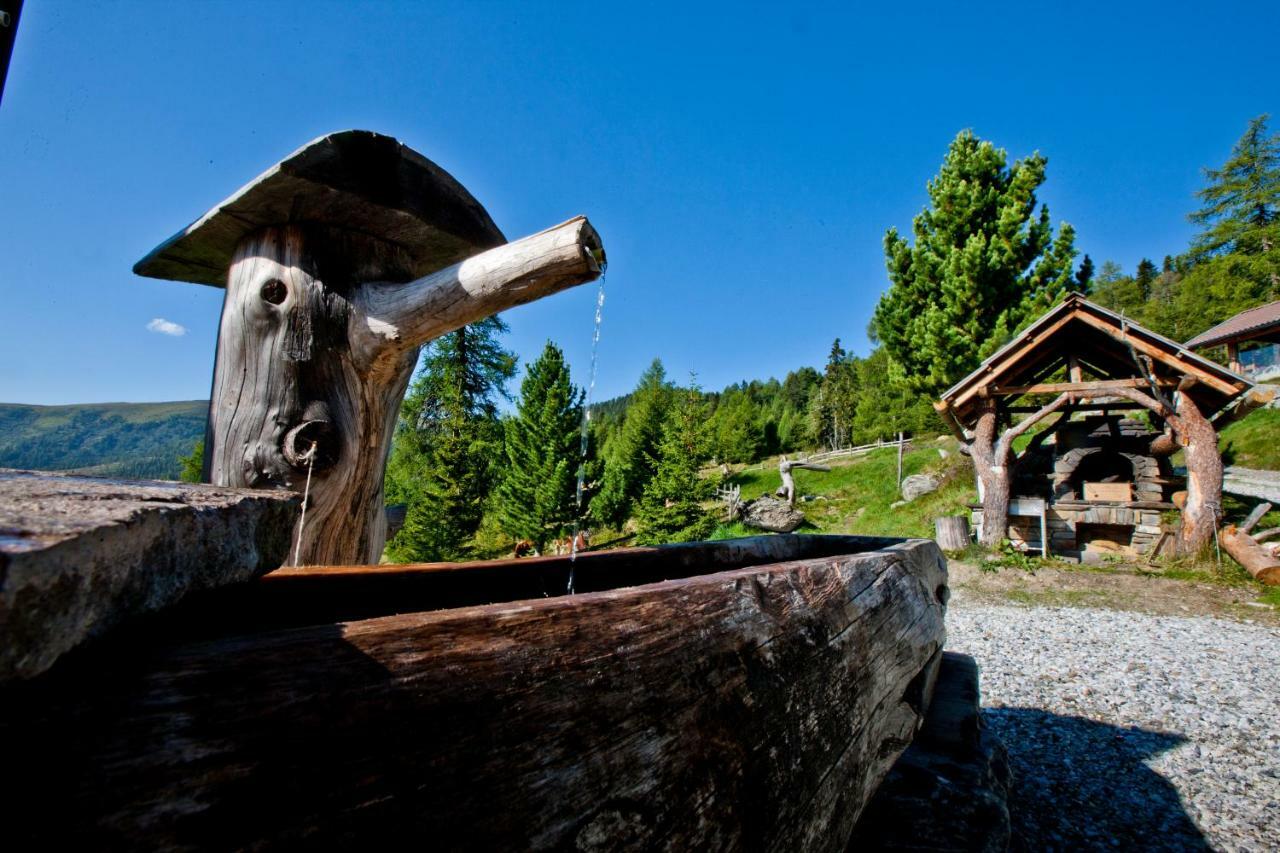 Villa Almhütte Kristabauer Predlitz Exterior foto
